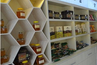 东莞特产展柜设计厂网站设计 融合地域特色与现代展示技术